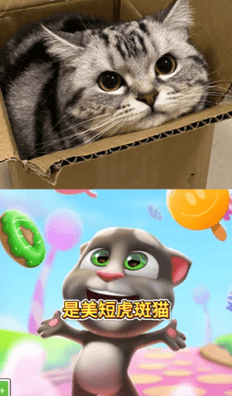 X2.png